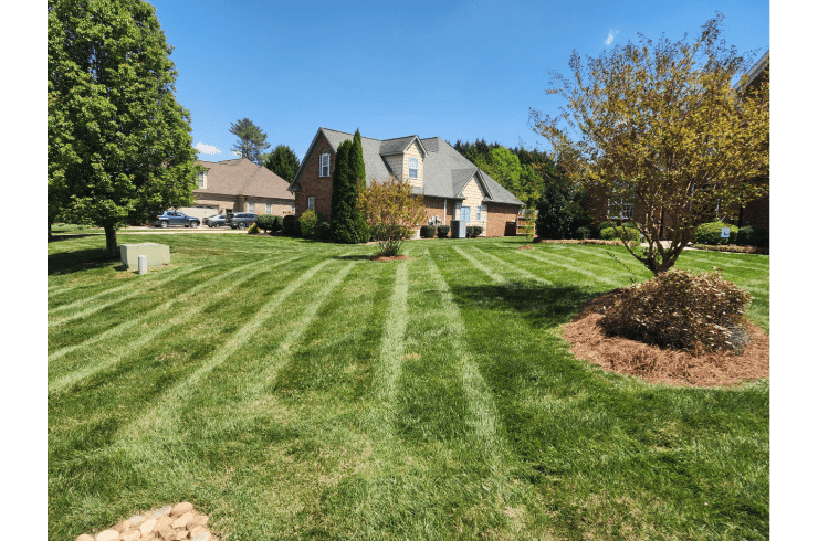 T and G Landscaping