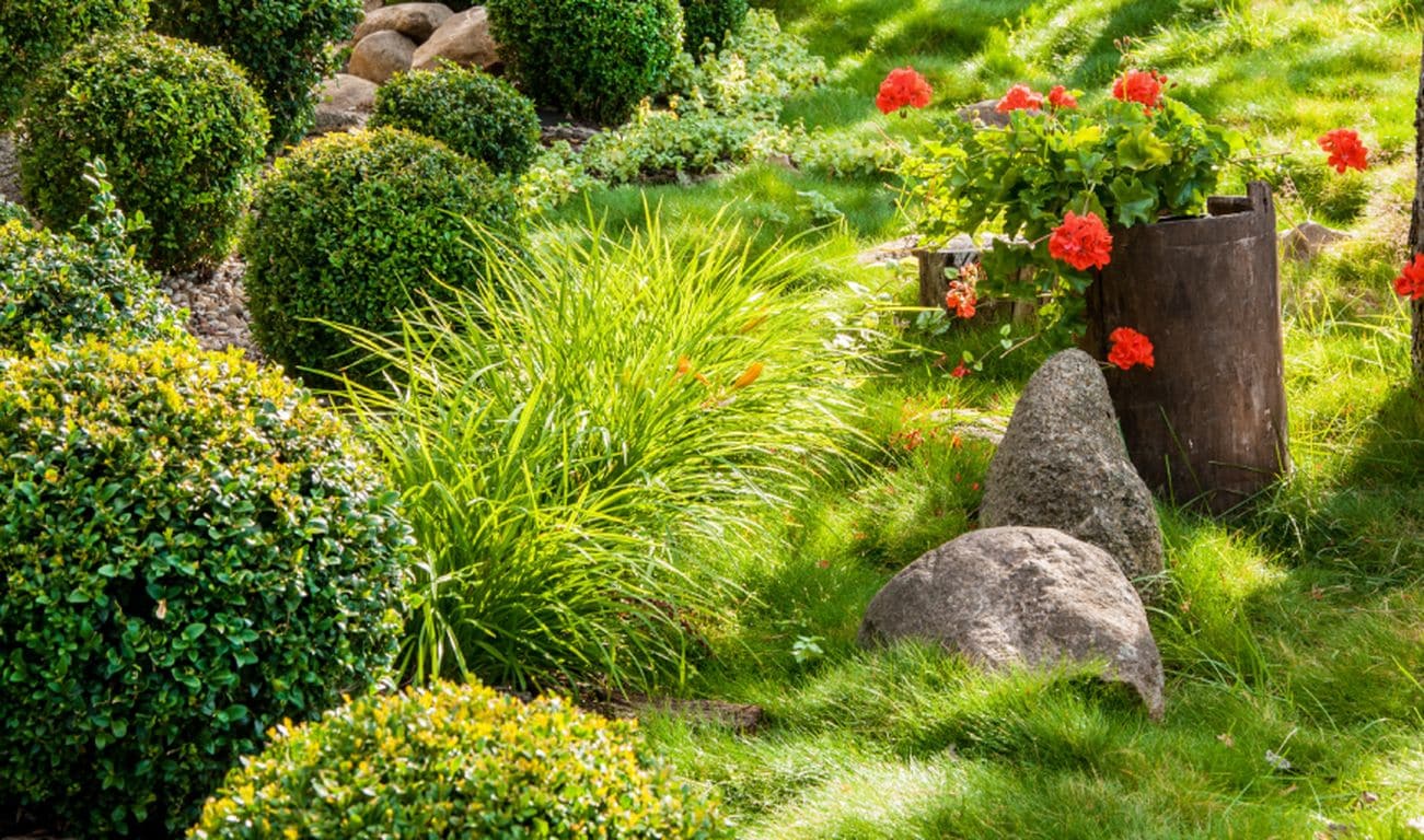 T and G Landscaping