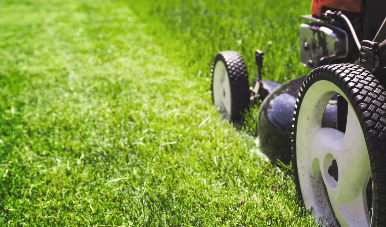 T and G Landscaping